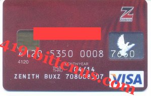 STANDARD ATM VISA CARD 